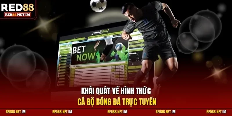 Khái quát về hình thức cá cược bóng đá trực tuyến